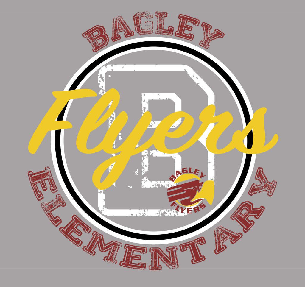 Live Feed Bagley School District 162