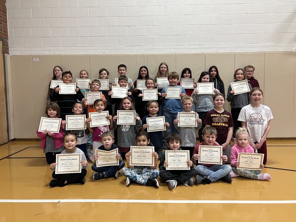 Live Feed Bagley School District 162