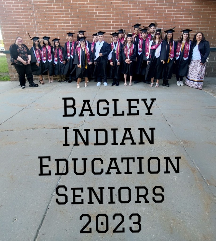 Live Feed Bagley School District 162